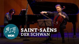 Camille SaintSaëns – Le Cygne Der Schwan  WDR Sinfonieorchester [upl. by Dibbrun]