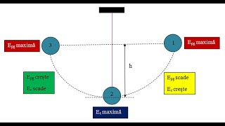 Conservarea energiei mecanice  Problemă rezolvată [upl. by Ewall]