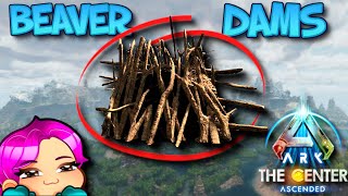 WHERE TO FIND BEAVER DAMS  THE CENTER  Ark Survival Evolved [upl. by Lemuela]