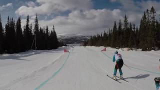 SkiCross  Lofsdalen Sweden 2017 [upl. by Naicad660]