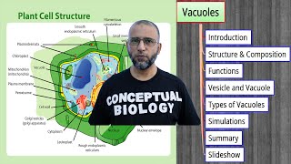 Vacuoles with Dr Sohail Jamil Qureshi  MDCAT Biology [upl. by Raama694]