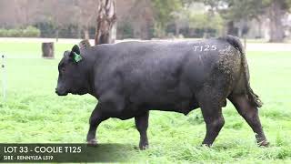 LOT 33  COOLIE T125 [upl. by Sterne]