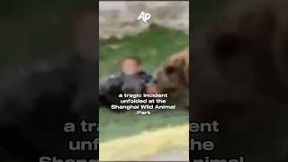 Visitors Watched a Zookeeper killed by a Bear shorts [upl. by Anirres]