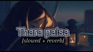 thara paisa  Thara daulat  Thara naam hindi slowedreverb song  viral fypシ゚viral foryou [upl. by Deenya]