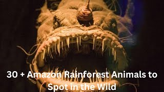 30  Amazon Rainforest Animals to Spot in the Wild [upl. by Calen]