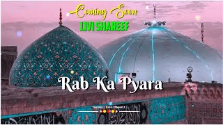 Coming Soon 11vi Sharif Status  11vi Sharif Status 2024  Gaus e Aazam Status  11vi Status New [upl. by Asiole]