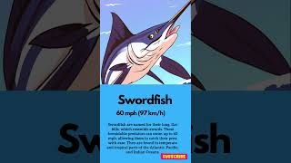 Fastest fish  Swordfish – 60 mph 97 kmh [upl. by Lisette30]