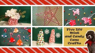 Five DIY Candy Cane and Peppermint Crafts [upl. by Enieledam499]