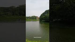 anniyan tree in chennai chetpet eco park lake anniyan aparichithudu aparichit tree [upl. by Kabab]