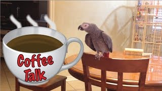 Morning Coffee Talk with Einstein the Talking Texan Parrot [upl. by Mcevoy632]