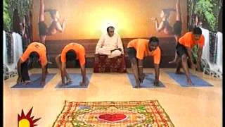 Dr Asana Andiappans Kalaignar TV Yoga Program on 28052012 Sirsa Pada Veerasana [upl. by Hainahpez333]