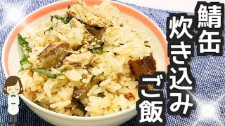 【旨い！安い！簡単！】炊飯器に入れるだけ！『サバ缶炊き込みご飯』Can mackerel cooked rice [upl. by Emlynne]