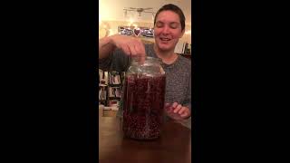 How to Make an Elderberry Oxymel [upl. by Sioled]