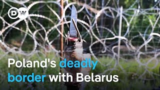 PolandBelarus border row Hybrid warfare or refugee crisis  Focus on Europe [upl. by Ettellocin]