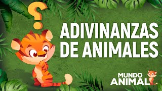 ADIVINANZAS de animales para NIÑOS ¡Fáciles y divertidas [upl. by Poppas]