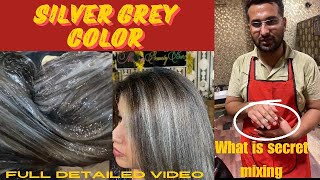 how to achieve silver gray hair  silver gray  silver gray balayage  silver gray color kaise kare [upl. by Ssecnirp19]