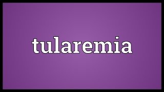 Tularemia Meaning [upl. by Annohsak]