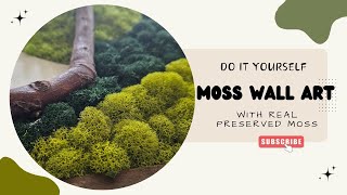 how to DIY Moss Wall Art  HandMade Preserved Moss Art  Wall Art for Livingroom [upl. by Dumah]