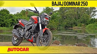 Bajaj Dominar 250 Review  Sweet spot or compromise  First Ride  Autocar India [upl. by Stent599]