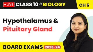 Hypothalamus amp Pituitary Gland  Control and Coordination  Class 10 Biology Chapter 6 LIVE [upl. by Arlena]