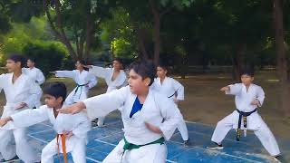 karate trending karate martialarts karate Grading gurugram [upl. by Farlay]