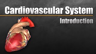 Cardiovascular System In Under 10 Minutes [upl. by Arraet]