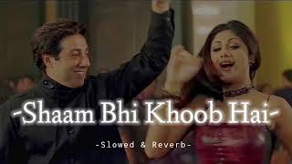 Shaam Bhi Khoob Hai  Slowed amp Reverb  Alka Yagnik  Kumar Sanu  Udit Narayan [upl. by Yrahcaz]