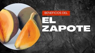 propiedades del zapote fruta y beneficios del zapote mamey [upl. by Alyn944]