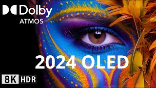 Oled Demo 2024 8K HDR 120FPS Demo OLED SONY Dolby AtmosVision [upl. by Grinnell]