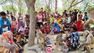 bandar ka khel jamane wala kya Khel karta hai Bandar abhi Kala mare [upl. by Bran883]