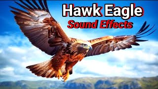 Hawk eagle sounds to make them come to you  hawk sounds to scare birds  hawk sound [upl. by Azriel]