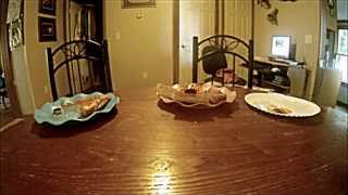 Dog Caught Stealing Pizza on GoPro [upl. by Maris]