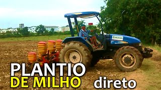 Plantio de Milho  Direto [upl. by Arvin785]