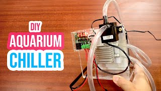 ❄️ Cool Down Your Aquarium with a DIY Chiller StepbyStep Tutorial 🧊 [upl. by Tahmosh]