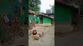 Rapu rapu olah tale🏡shorts video santali songs village 🌿 [upl. by Araeic]