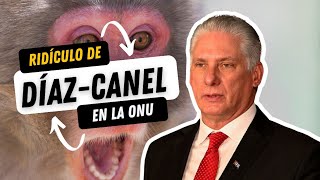 ❎¿Para eso VINO a Nueva York El VERGONZOSO discurso de DíazCanel en la ONU [upl. by Tonye428]