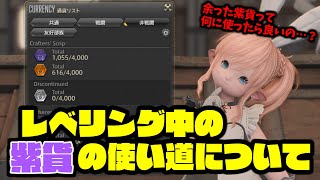 ギャザクラのレベリング中に余った紫貨の使い道について！ギャザクラ初心者向け動画【FF14】 [upl. by Deerdre]