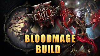 Witch BloodMage Build Guide Act 2  Path Of Exile 2 [upl. by Marsland122]