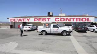 Dewey Pest Control and Termite Control  Pest Control Services [upl. by Mairb]