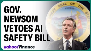 California Governor Gavin Newsom vetoes AI safety bill [upl. by Grefe]