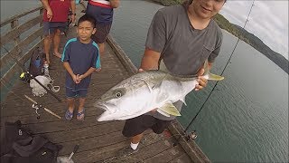 NZ Basic Fishing  Wharf Fishing  The Great Pier Pressure [upl. by Nedroj262]