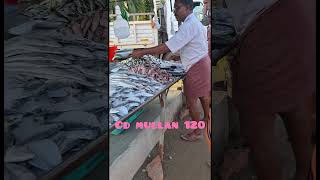 Mean kachavadamreels fish kachavadam uppaummakkalum 935  reels  videos [upl. by Cleavland]