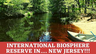 Understanding an ecological treasure the Pine Barrens of New Jersey [upl. by Charlton]