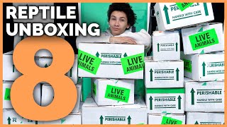 Unboxing 17 More Reptiles New Geckos Boas Pythons Tortoises amp More [upl. by Oijres]