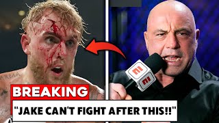 JOE ROGAN SLAMS JAKE PAUL AFTER SHOCKING SPARRING KNOCKOUT [upl. by Ahsoj650]