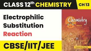 Electrophilic Substitution Reaction  Class 12 Chemistry Chapter 13 [upl. by Nerral]