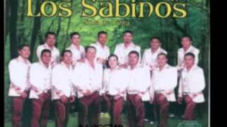 Morena Mia Banda los Sabinos de Sola de Vega [upl. by Moss297]