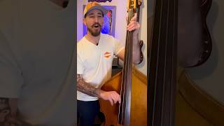 Double Bass Fun doublebass bass strings musician instrument fun instrumental music shorts [upl. by Ramburt]