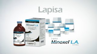 Minoxel® LA indicado para el tratamiento de la Enfermedad Respiratoria Porcina [upl. by Anwadal]