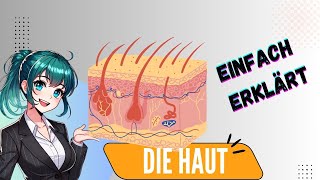 Haut  Anatomie Aufbau und Aufgaben Epidermis Dermis Subcutis [upl. by Raf44]